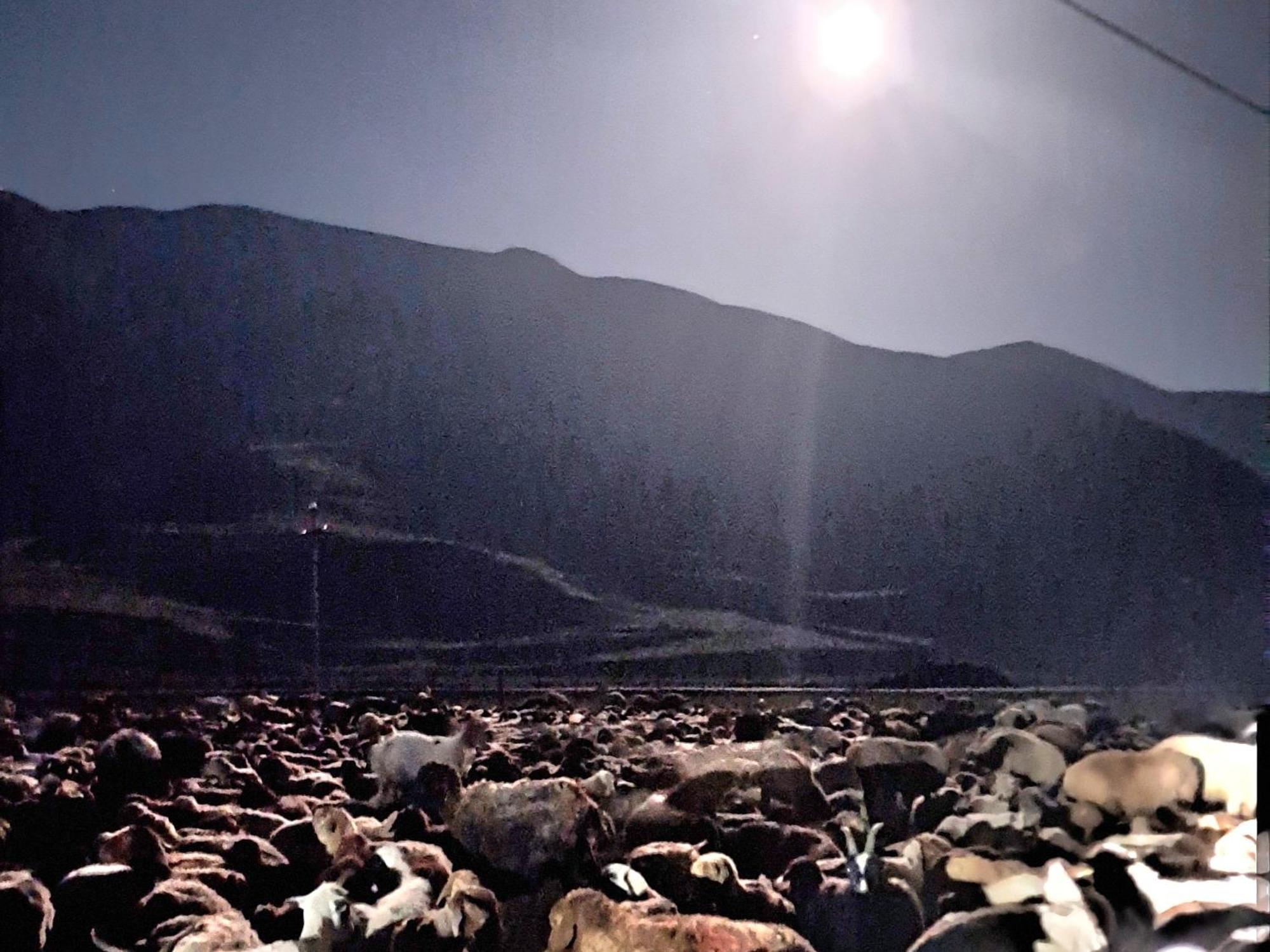 Xinaliq Khinalig Izzet'S Riverside Home Stay Dış mekan fotoğraf
